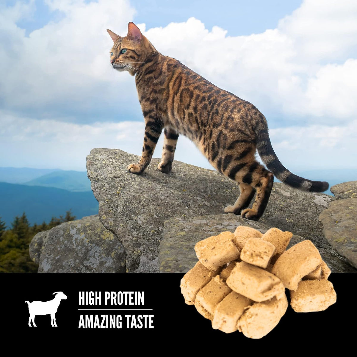 ORIJEN Freeze Dried Cat Treats Grain Free, 1.25Oz Bag | 99% Animal Ingredients, Freeze Dried, Grain Free, High Protein, 1 Calorie Each, Ideal for Training, Nutrients Locked In