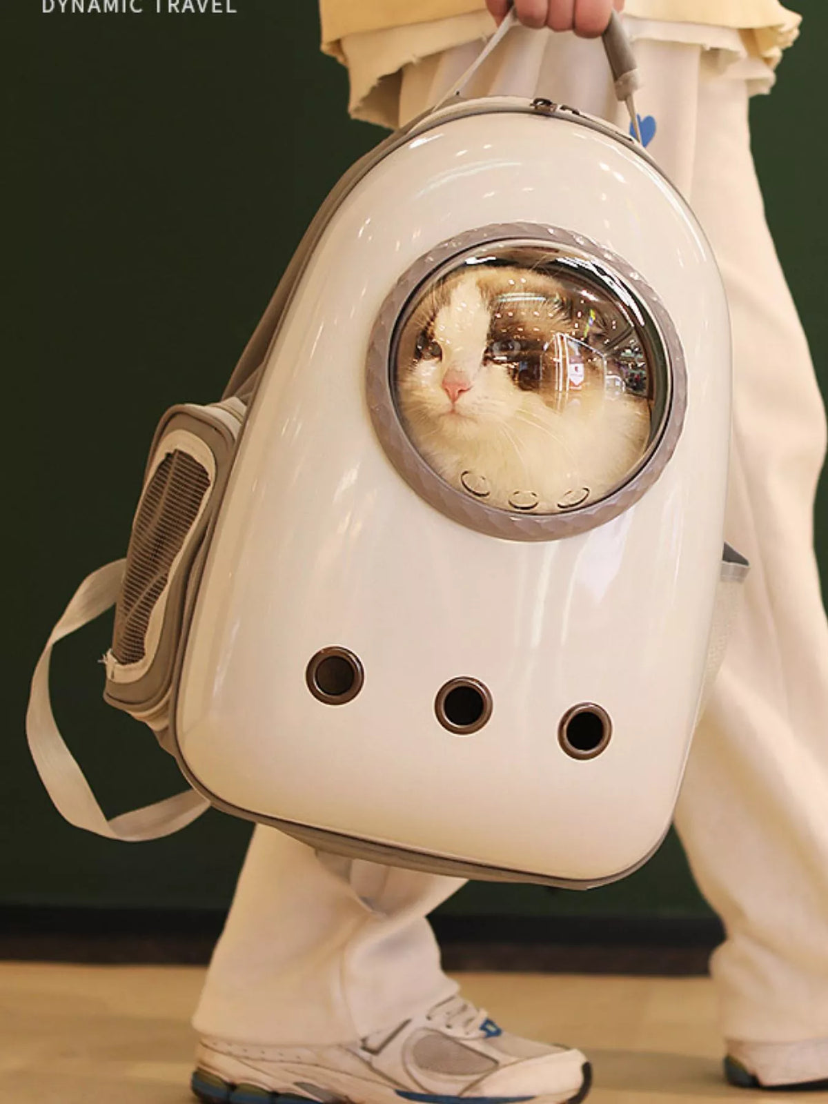 Space Capsule Transparent Pet Carrier Backpack