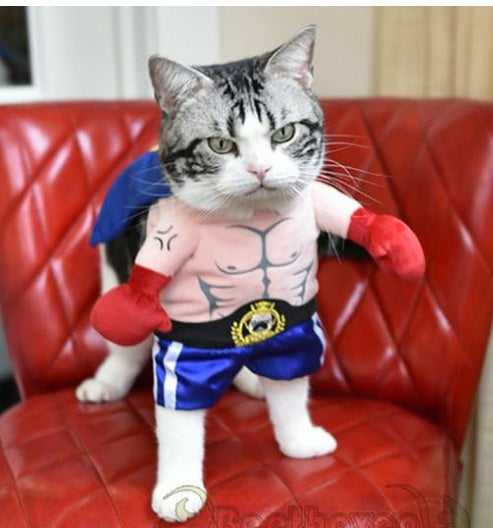 Boxer Costume