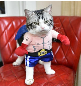 Boxer Costume