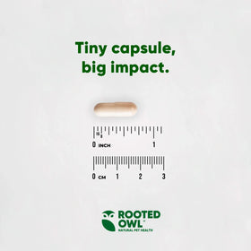 Rooted Owl® Natural Immunity