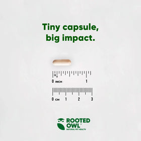 Rooted Owl™ Joint & Muscle Health (Med - Large Pets)