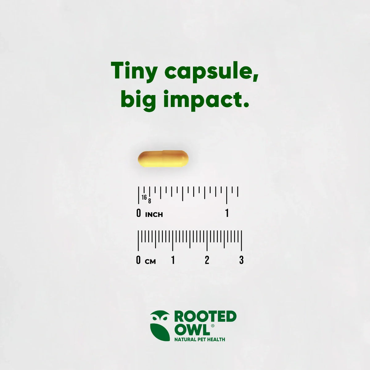 Rooted Owl® Turmeric