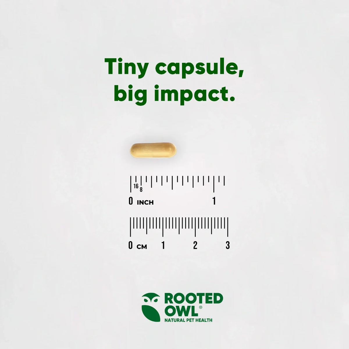 Rooted Owl® Liver Support