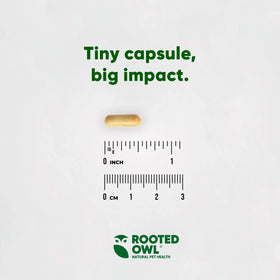 Rooted Owl® Liver Support