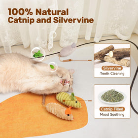 Interactive Cat Nip Chirping Toy Cat Chew