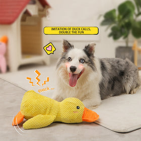 Stuffed Duck