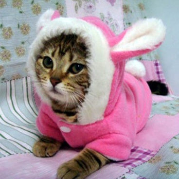 Cute Fleece Cat Hoodie
