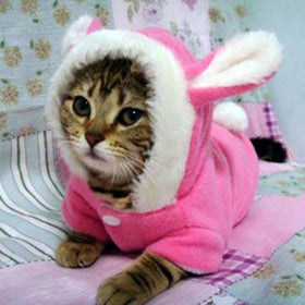 Cute Fleece Cat Hoodie