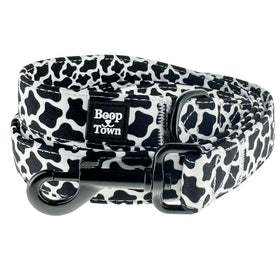 Dog Leashes