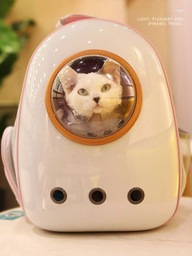 Space Capsule Transparent Pet Carrier Backpack