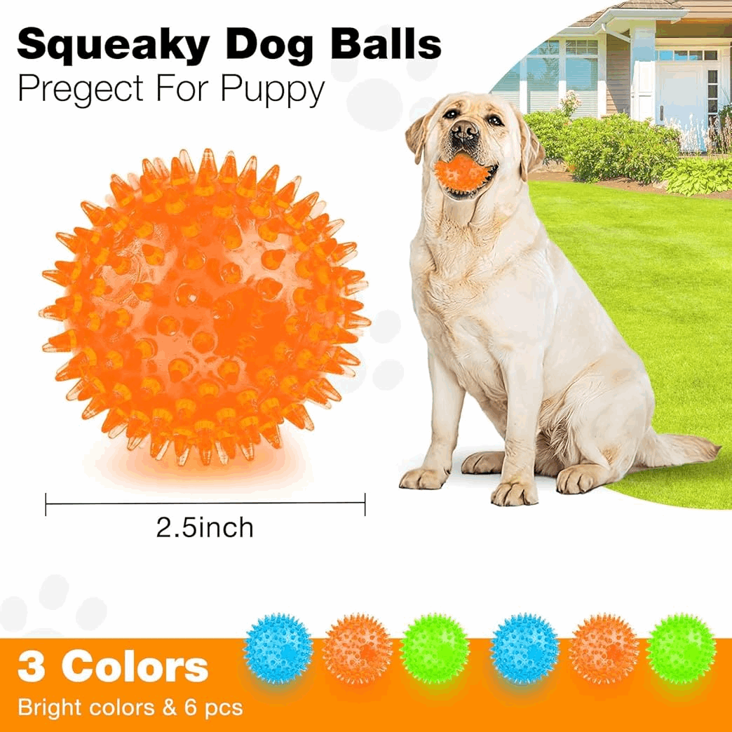 Squeaky Interactive Dog Balls for Puppy Teething