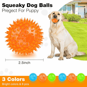 Squeaky Interactive Dog Balls for Puppy Teething