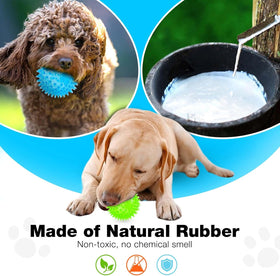 Squeaky Interactive Dog Balls for Puppy Teething