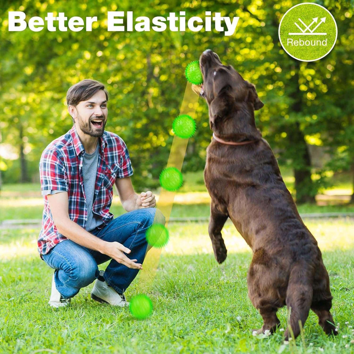 Squeaky Interactive Dog Balls for Puppy Teething
