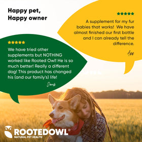 Rooted Owl™ Joint & Muscle Health (Small Pets)