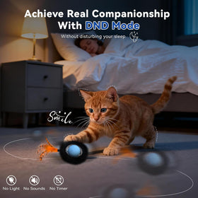 Interactive Cat Toy for Indoor Cats, Motion Activated Ball &7-Hole Maze Mat