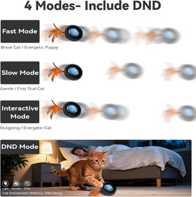 Interactive Cat Toy for Indoor Cats, Motion Activated Ball &7-Hole Maze Mat