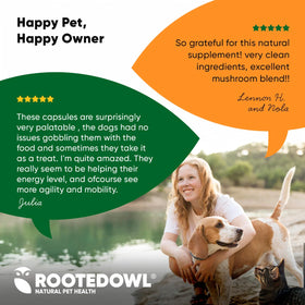 Rooted Owl® Natural Immunity