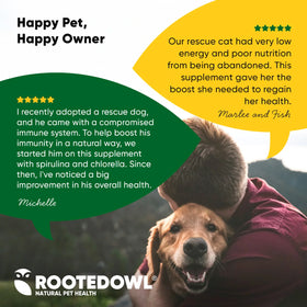 Rooted Owl® Spirulina & Chlorella