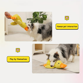 Stuffed Duck