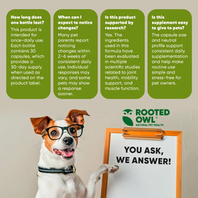 Rooted Owl™ Joint & Muscle Health (Small Pets)