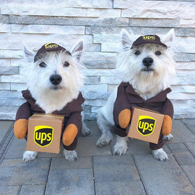 Funny Express Dog Clothes