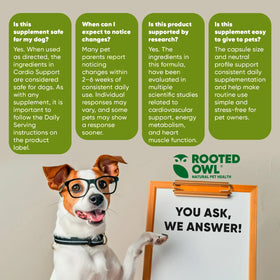 Rooted Owl® Cardio Support