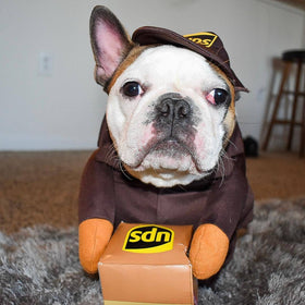 Funny Express Dog Clothes