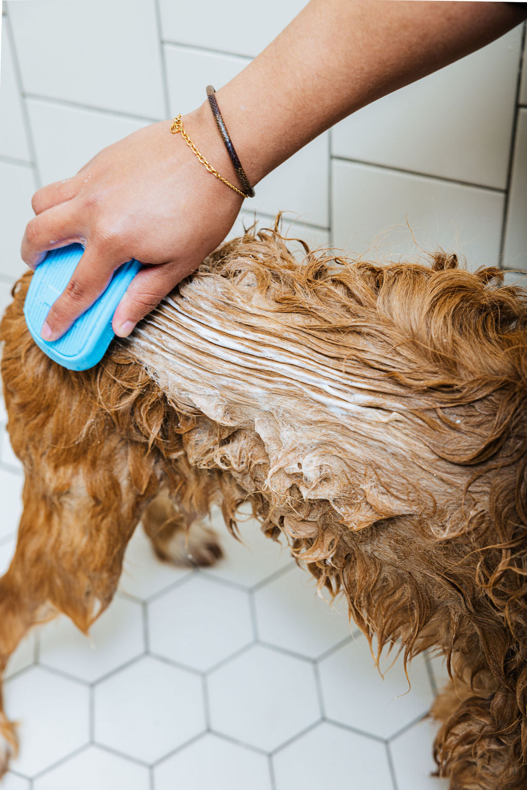 Dog Shampoo & Conditioner, Pure Pup by Cleo & Hooman