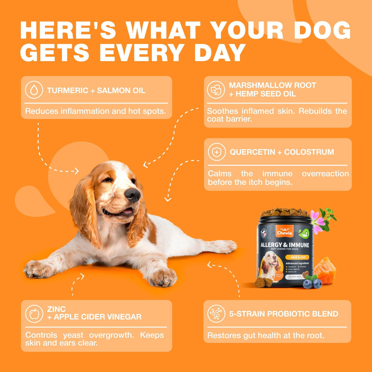 Dog Allergy Relief Chews with Probiotics, Colostrum, Salmon Oil