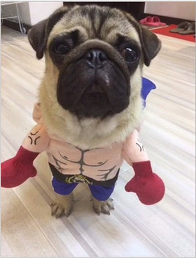 Boxer Costume