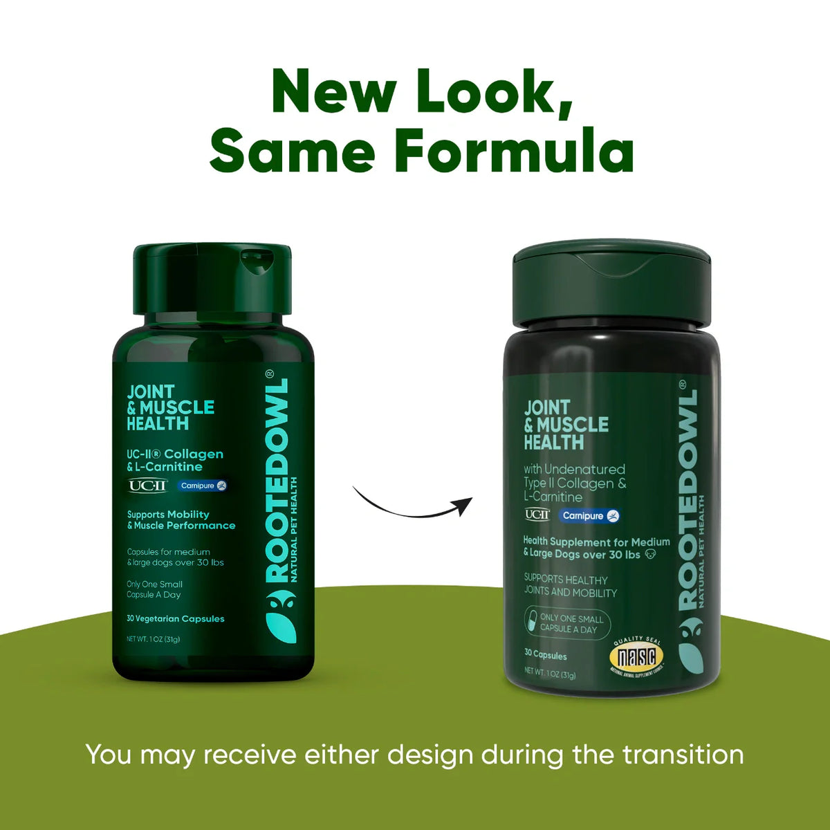 Rooted Owl™ Joint & Muscle Health (Med - Large Pets)