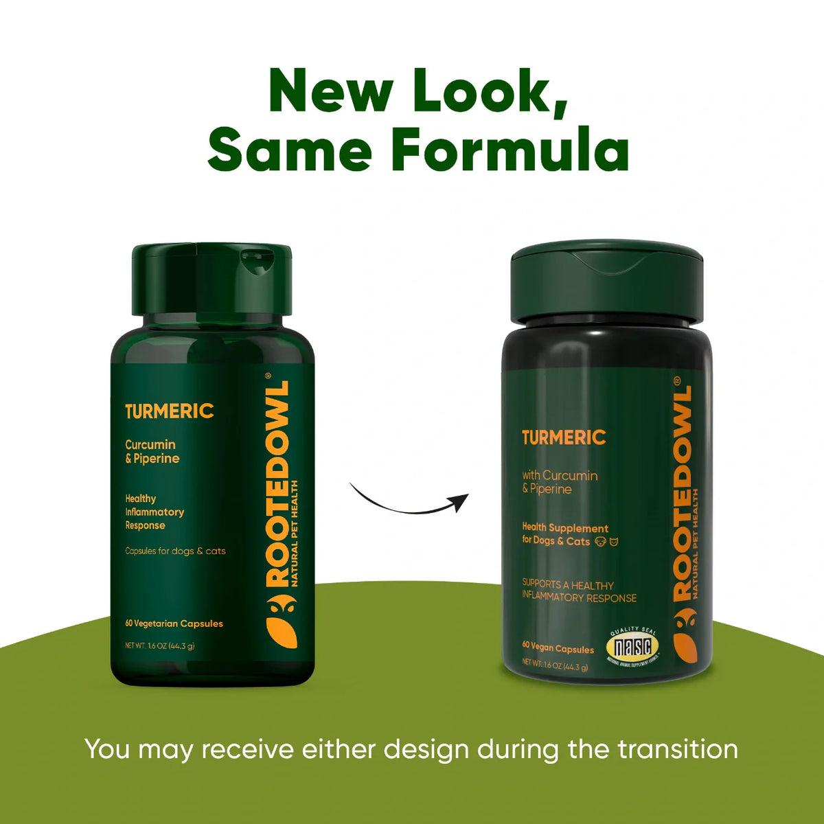 Rooted Owl® Turmeric