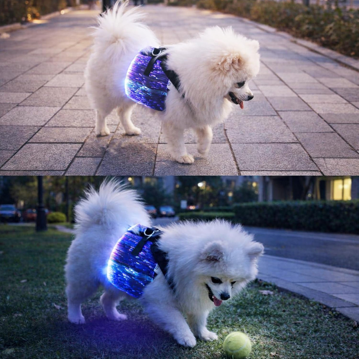 LED Dog Harness Light Up Fiber Optic Remote Control Small Dogs