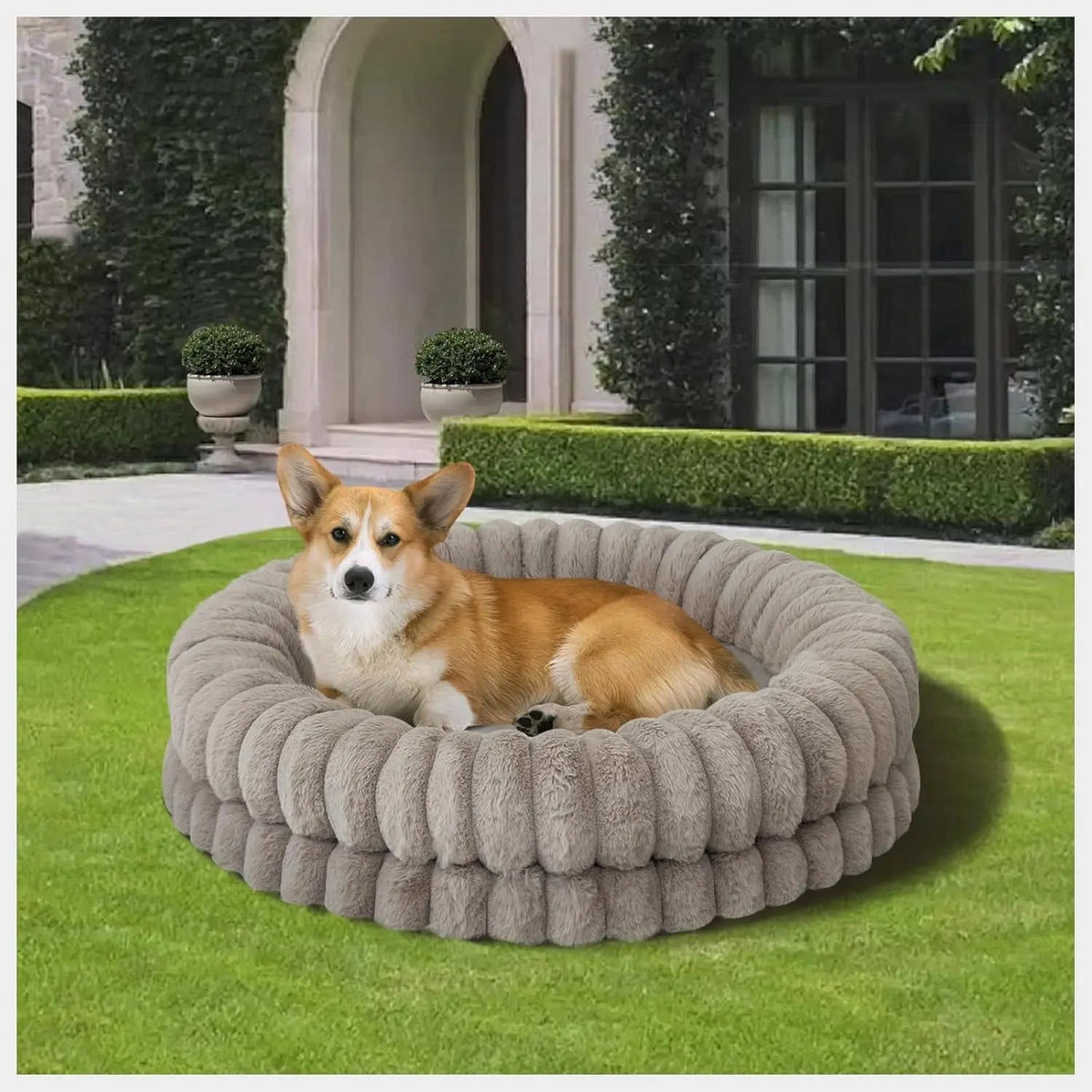 Luxury Donut Dog Bed | Orthopedic Calming Round Bed (Washable)