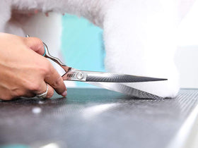 Pet Grooming Curved Shear