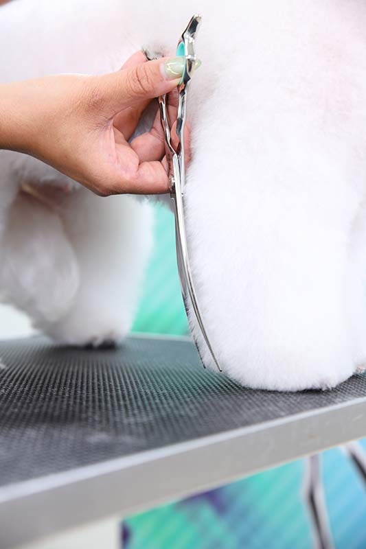 Pet Grooming Curved Shear