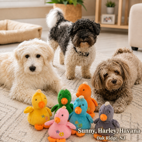 Baby Duck Plush Toy