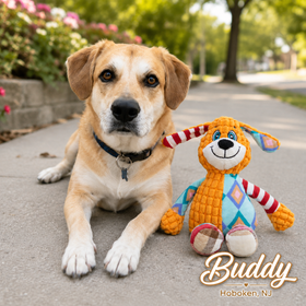 Plush Interactive Squeaky Chew Toy