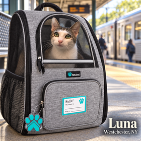 Backpack Carrier for Small Medium Dogs Large Cats up to 18 Lbs