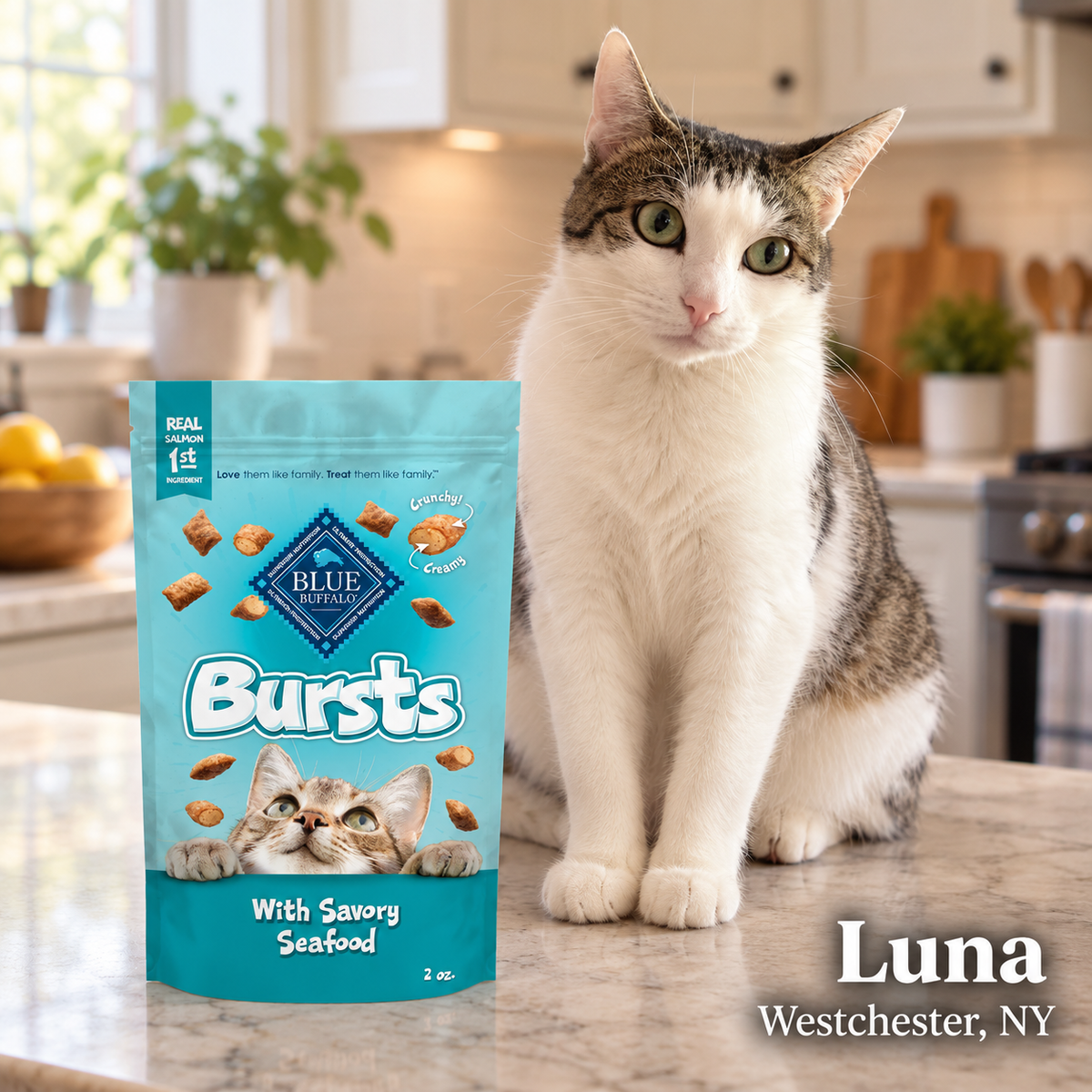 Bursts Crunchy & Creamy Cat Treats, Savory Seafood, 2-Oz. Bag