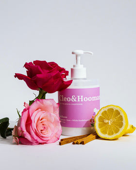 Dog Shampoo & Conditioner, In Bloom by Cleo & Hooman
