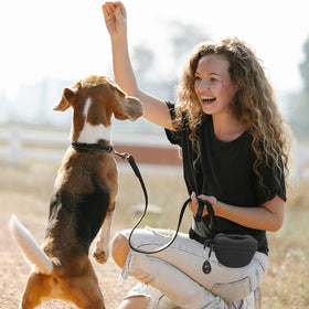 Silicone Dog Training Pet Snack Pouch