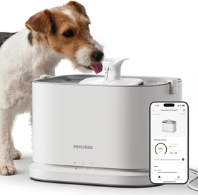 Water Fountain Stainless Steel Smart App 3L Automatic Pet Fountain