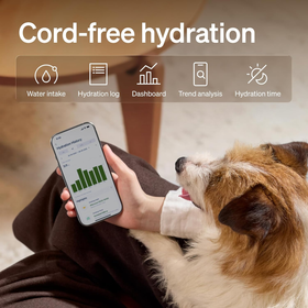 Water Fountain Stainless Steel Smart App 3L Automatic Pet Fountain