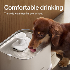 Water Fountain Stainless Steel Smart App 3L Automatic Pet Fountain