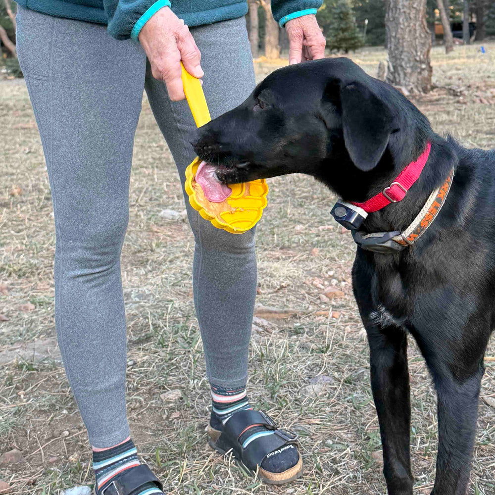 Stick Hand-Held Dog Enrichment Toy