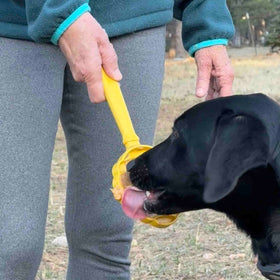 Stick Hand-Held Dog Enrichment Toy