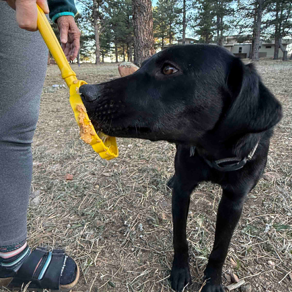 Stick Hand-Held Dog Enrichment Toy